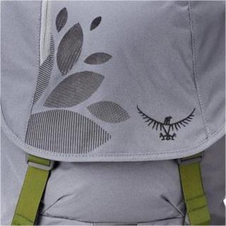 Osprey FlapJill Pack 21升 女式 城市通勤双肩包