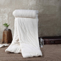 DAPU 大朴 新疆A类棉花 纯棉被胎 1.8米床 220*240cm  3500克