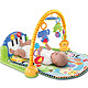 移动端：Fisher-Price 费雪 欢乐成长之脚踏钢琴健身器 婴儿玩具 W2621
