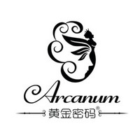 Arcanum/黄金密码