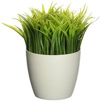 Kikkerland Potted Pen Stand SC24 盆栽笔筒