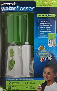 Waterpik 洁碧 WP-260 冲牙器