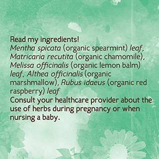 Earth Mama Angel Baby Organic Heartburn Tea 缓解胃灼热 有机花草茶（16袋*3盒）