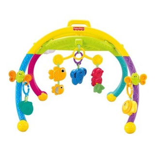 Fisher-Price 费雪 W9840 动物互动健身器