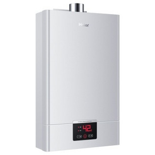 Haier 海尔 JSQ20-D(12T) 燃气热水器 10L 天然气（12T）