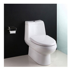 American Standard 美标 双冲喷射 虹吸连体 座便器