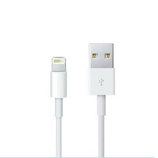 Apple 苹果 1.0m USB Lightning 充电线 MD818FE/A