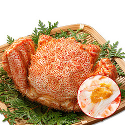 OCEAN FAMILY 大洋世家 北海道熟冻红毛蟹 2只（单只约6两）