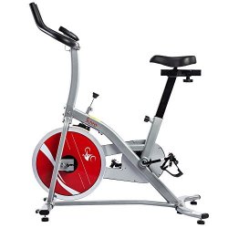 SUNNY HEALTH & FITNESS SF-B1203 炫彩版专业家用室内健身动感单车