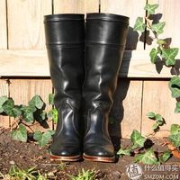 FRYE  Jane Extended 14L 真皮女靴