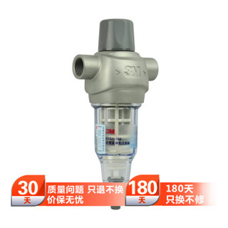 3M BFS1-100 前置反冲洗过滤器