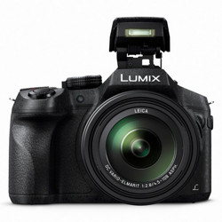 Panasonic 松下 LUMIX DMC-FZ300K 4K超清长焦相机