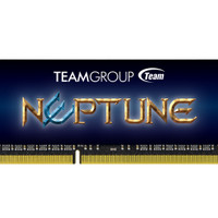 Team 十铨 Neptune 海王星 DDR3 2133MHz 笔记本内存