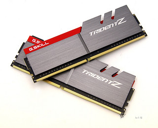 G.SKILL 芝奇 Trident Z系列 F4-3000C15D-32GTZ 32GB内存套装（16GB*2、DDR4 3000）