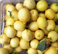 安岳柠檬 丑果 5斤