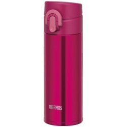 THERMOS 膳魔师 JNI-301 真空不锈钢保温杯 300ml