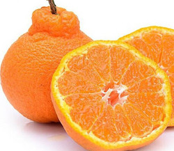 丑柑（丑橘） 5斤
