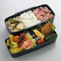 SKATER Modern+ POW5S 双层分格饭盒
