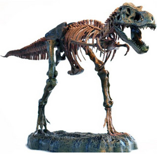 ELENCO Science Tech 科技系列 T-Rex 霸王龙骨架模型 36寸