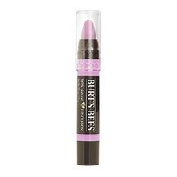 BURT'S BEESBURT‘S BEES 小蜜蜂 蜡笔唇膏