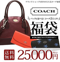 COACH 蔻驰 限量福袋 含女士手提包+随机钱包