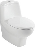 ​Villeroy & Boch 唯宝 6680A001P 连体冲落式地排马桶