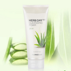 THE FACE SHOP 菲诗小铺 每日草本芦荟泡沫洁面膏 170g