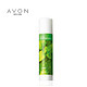 AVON 雅芳 舒润清新绿茶润唇膏4g