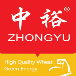 商品zhongyu中裕鸡蛋挂面150g