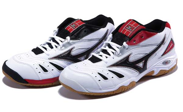 mizuno wave gate