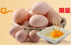 誉福园 橘林散养农家谷物土鸡蛋20枚+草柴笨鸡蛋10枚 