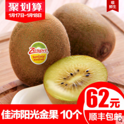 Zespri 佳沛 意大利阳光金奇异果 39号 10粒