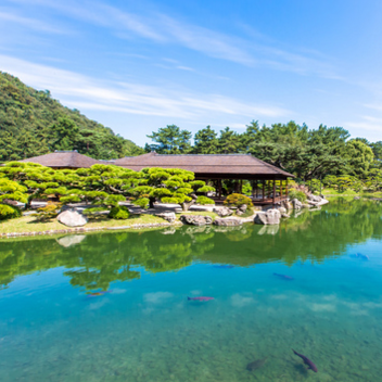 专题：一期一会——日本“花见会”带你尽享樱花魅力