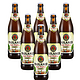 PAULANER 柏龙 慕尼黑酵母型小麦啤酒 500mL/瓶*20瓶/箱 德国进口