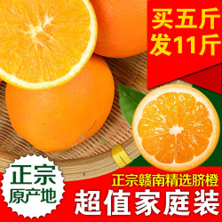  正宗 赣南 脐橙 江西新鲜水果橙子 