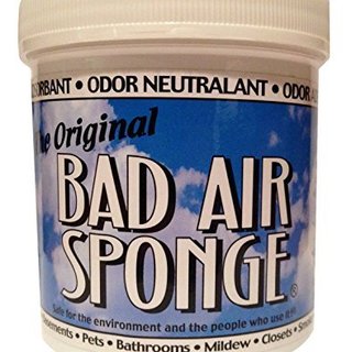 BAD AIR SPONGE Odor Neutralizer 空气净化剂 400g