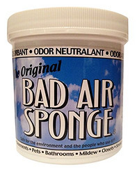 BAD AIR SPONGE Odor Neutralizer 空气净化剂 400g