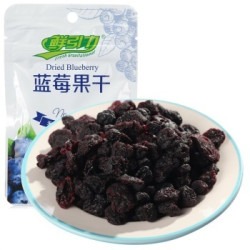 鲜引力 蜜饯 果脯 1/1蓝莓果干 16g/袋