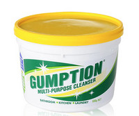 GUMPTION 神奇清洁剂 500g