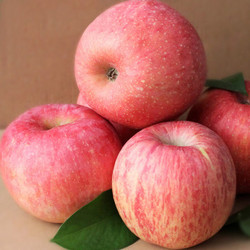  山东烟台 苹果 红富士苹果5斤10-12个包邮装新包装