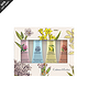 Crabtree & Evelyn The Favourites Hand Therapy Gift Set 护手霜套盒 25g*4支