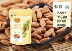 时怡 中粮优选巴西松子 125g