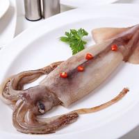 COFCO 中粮 优选 原汁阿根廷鱿鱼 (袋装 480g)