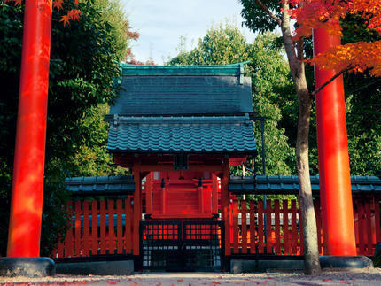 专题：一期一会——日本“花见会”带你尽享樱花魅力