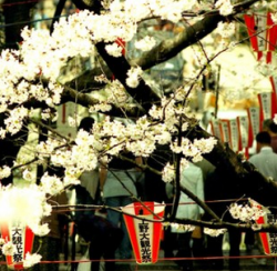 重庆-日本东京/大阪 7天6晚自由行 （两地任意选择进出往返含税机票+签证/酒店/WIFI/行李）
