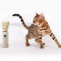 PetSafe SSSCAT Cat Training Aid 训练宠物喷雾器