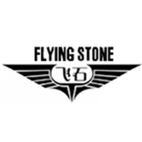 FLYING STONE/飞石
