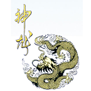 shenlong/神龙