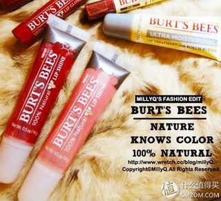 BURT‘S BEES 小蜜蜂 Lip Shine 果冻唇蜜 14g