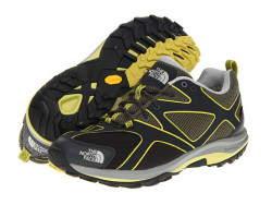 THE NORTH FACE 北面 Hedgehog Guide GTX 男款徒步鞋
